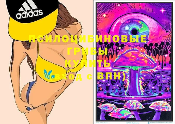 не бодяженный Абаза