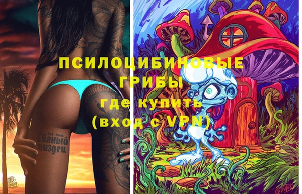ГАЛЛЮЦИНОГЕННЫЕ ГРИБЫ Алексин