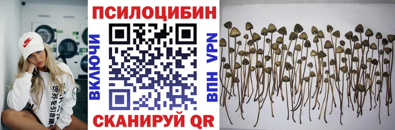 Псилоцибиновые грибы прущие грибы  Островной 